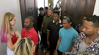 Haley Reed and her mature mother Kiki Daire in a group sex with twelve black men