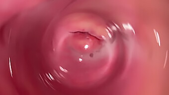 Video Pov De Una Vagina Apretada Llena De Crema De La Cámara Interna. ¡no Te Pierdas Esta Escena Caliente!