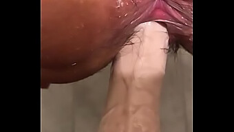 Wet And Wild: Hairy Pussy Fucking With A Dildo