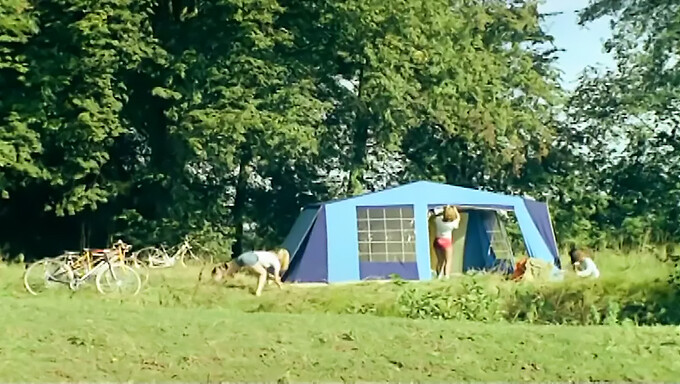 Vintage ranskan ryhmä orgia - Restored 1977 Zizis